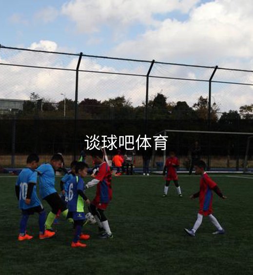网站介绍